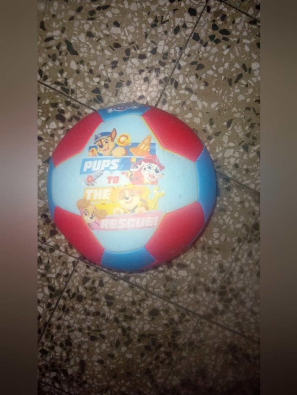 Paw Patrol Blue & Red Kids Soccer Ball with Pups Graphic